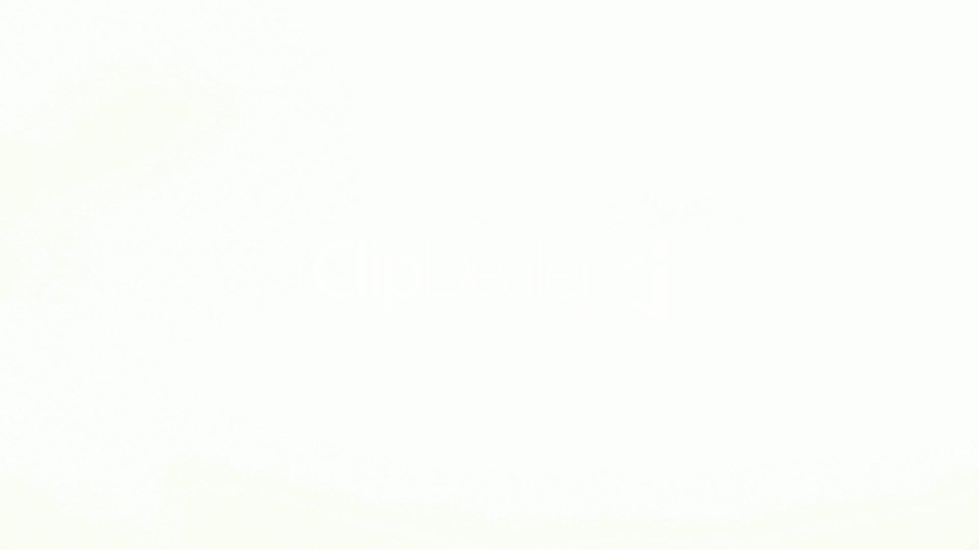 515958.jpg